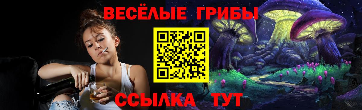 Псилоцибиновые грибы Cubensis  Вход с VPN  Зима  Псилоцибиновые грибы Psilocybine cubensis 