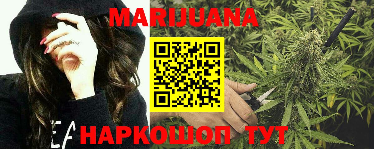 Бошки Шишки гибрид Зима